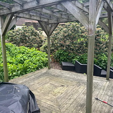 Professional-Deck-Patio-Pressure-Washing 3